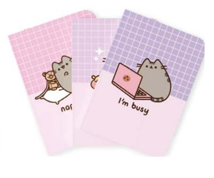 PUSHEEN - Zestaw 3 notatników - Rozmiar A5