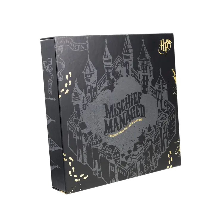 HARRY POTTER - Pudełko na artykuły papiernicze