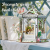 MINIATUROWY DOMEK - DIY - Windsor Flower House - 235szt + Oświetlenie LED