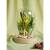 Widdop - DISNEY PRINCESS - Ariel - Floral Cloche with a Neon Light