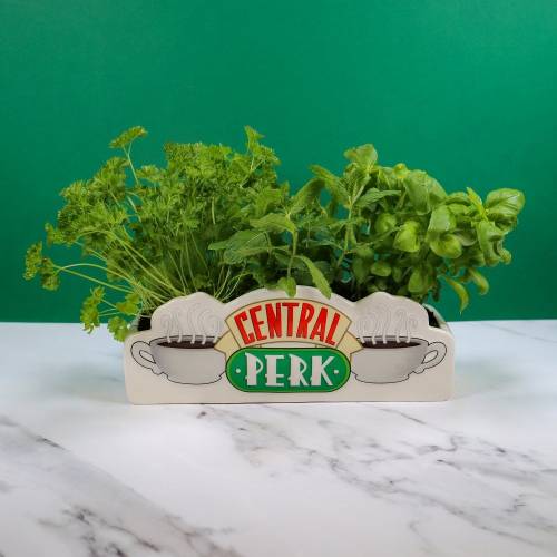 HMB - FRIENDS - Central Perk - Table Top Vase