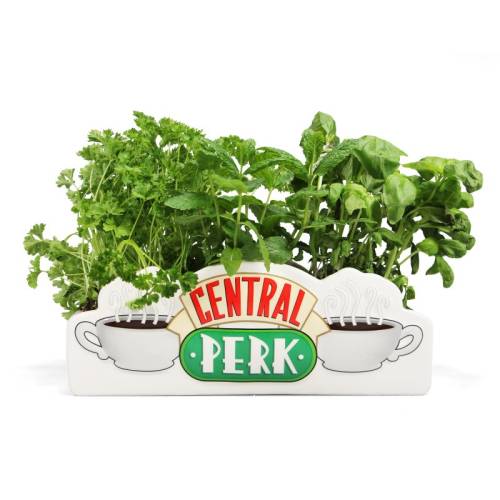 HMB - FRIENDS - Central Perk - Table Top Vase