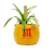 HMB - HARRY POTTER - Gryffindor - Plant Pot
