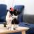 Cerda - MINNIE - Toy - Cat Fishing Pole