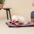 Cerda - MINNIE - Dog Mattres - M (95 X 80 X 4 CM)