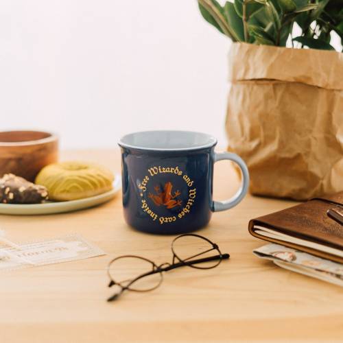 Grupo Erik - HARRY POTTER - Chocolate Frog - Mug 12,8oz