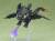 Goodsmile - HOW TO TRAIN YOUR DRAGON - Toothless - Figure Nendoroid 8.5cm