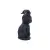 Nemesis Now - Cult Cuties - Pawzuph 11cm