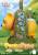 Beast Kingdom - WINNIE THE POOH - Winnie & Pigglet - Statue Master Craft 32.6cm