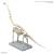 Bandai Model Kit - PLANNOSAURUS - Brachiosaurus - Model Kit