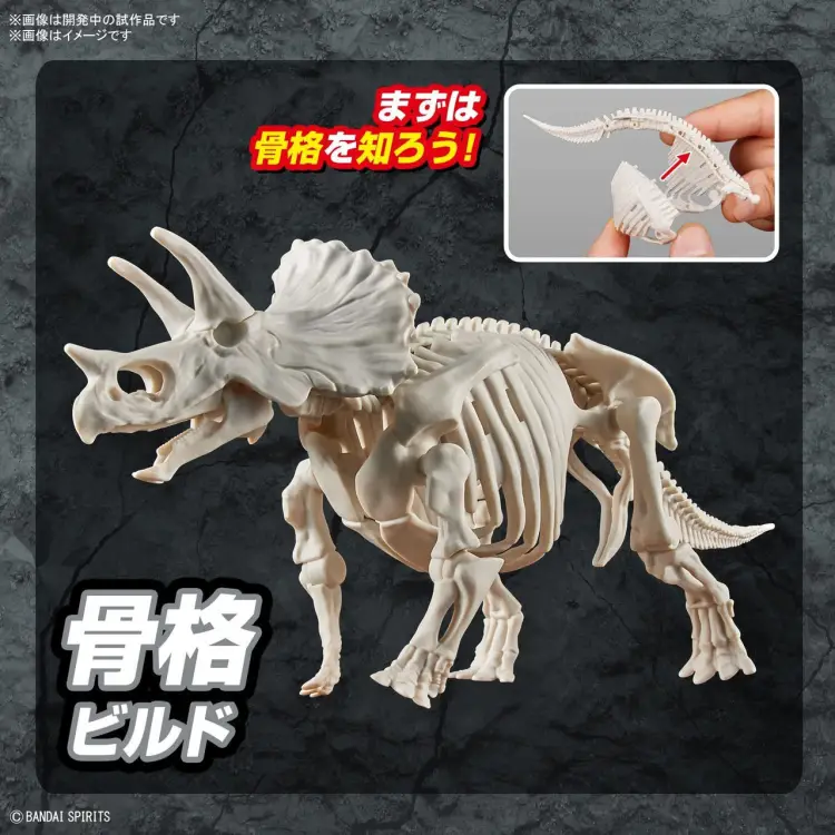 Bandai Model Kit - DINOSAUR - New Dinosaur Plastic Triceratops (Tentative) - Model Kit