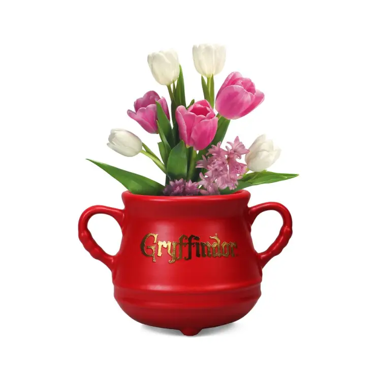 HMB - HARRY POTTER - Cauldron Gryffindor - Wall mounted flower pot