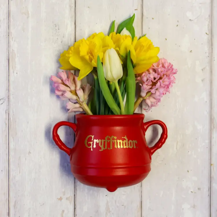 HMB - HARRY POTTER - Cauldron Gryffindor - Wall mounted flower pot