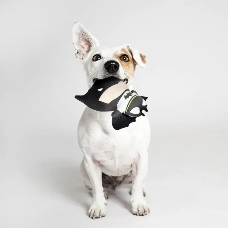 Cerda - BATMAN - Stuffed Dog Toy