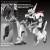 Bandai Model Kit - PATLABOR - RG 1/48 AV-98Plus Ingram (Ingram Plus) - Model Kit