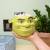 Grupo Erik - SHREK - Head - 3D Bowl