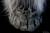 PureArts - LORD OF THE RINGS - Nazgul King - Scale Art Mask 1/1 73cm