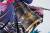 x_apex14659_p.jpg