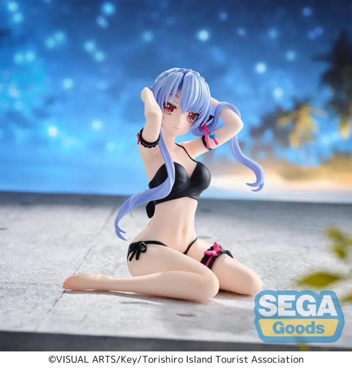 x_sega45903_a.jpg