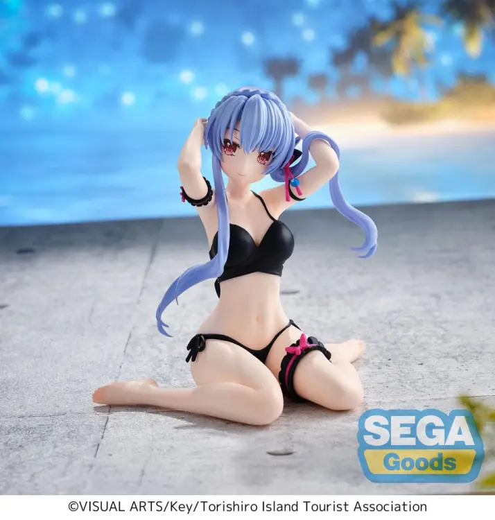 x_sega45903_b.jpg