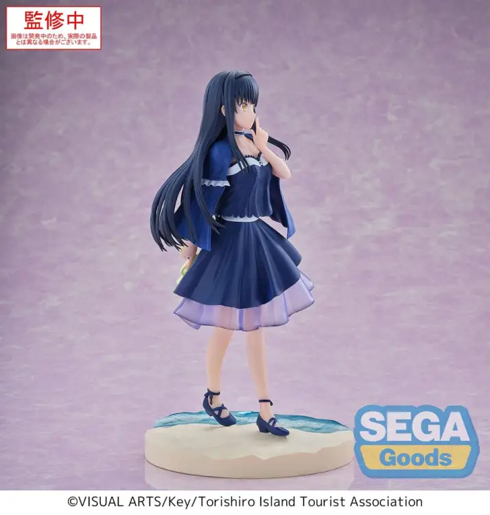 x_sega45692_c.jpg