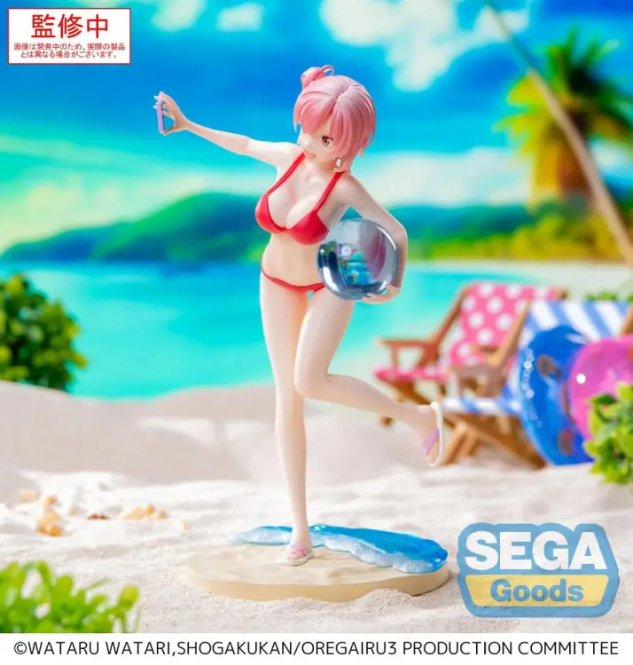 x_sega45310_b.jpg