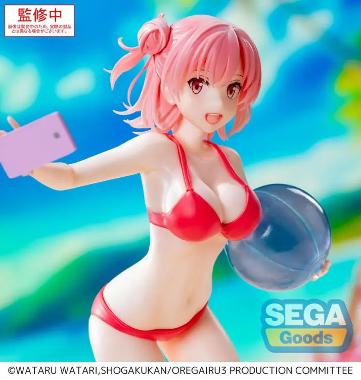 x_sega45310_d.jpg