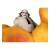 x_mcf17519_c.jpg