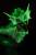 x_mcf17227_g.jpg