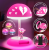 Paladone - FORTNITE - Cuddle Team - Squishy Lamp 20cm
