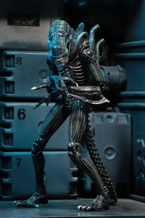 Neca - ALIENS - Warrior Alien Blue - Figure Ultimate 23cm