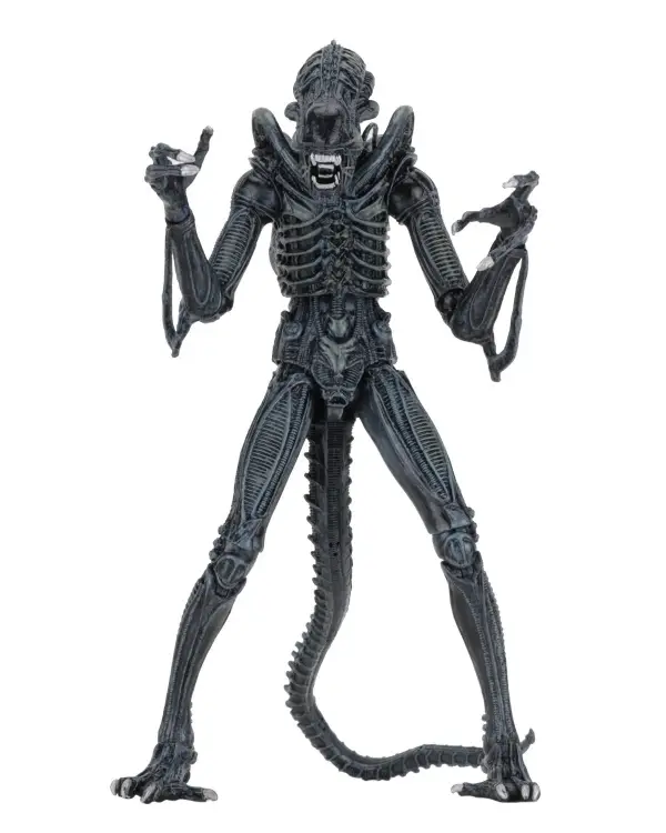 Neca - ALIENS - Warrior Alien Blue - Figure Ultimate 23cm