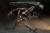 Neca - ALIEN RESURRECTION - Alien Queen - Figure Ultra Deluxe 37cm