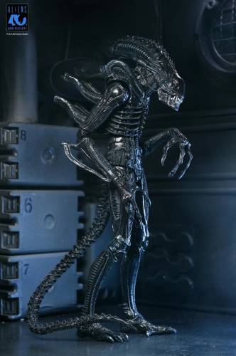 Neca - ALIENS 40TH ANNIVERSARY - Warrior Alien Black - Figure Ultimate 23cm