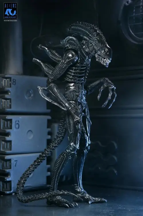 Neca - ALIENS 40TH ANNIVERSARY - Warrior Alien Black - Figure Ultimate 23cm