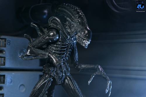 Neca - ALIENS 40TH ANNIVERSARY - Warrior Alien Black - Figure Ultimate 23cm