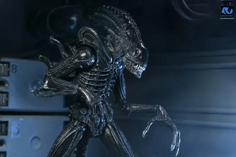 Neca - ALIENS 40TH ANNIVERSARY - Warrior Alien Black - Figure Ultimate 23cm