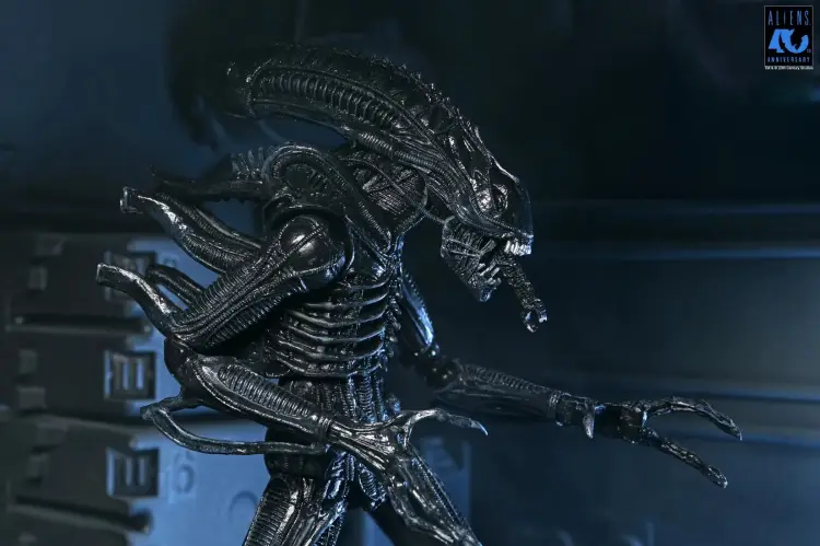 Neca - ALIENS 40TH ANNIVERSARY - Warrior Alien Black - Figure Ultimate 23cm