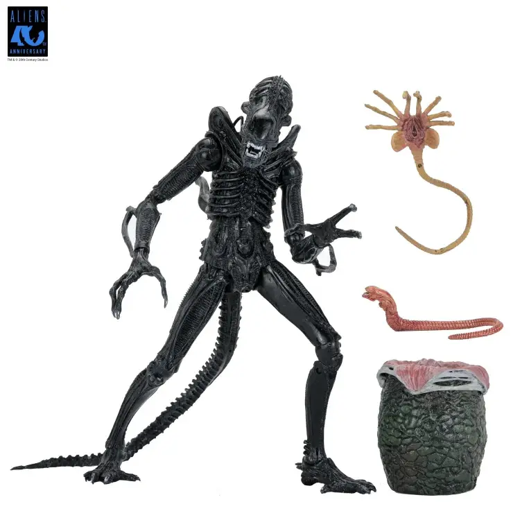 Neca - ALIENS 40TH ANNIVERSARY - Warrior Alien Black - Figure Ultimate 23cm